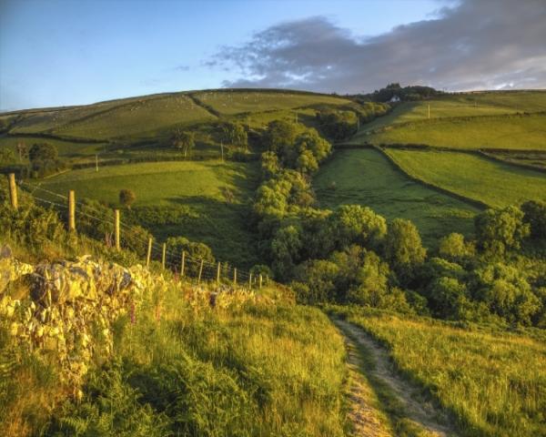 Exmoor cottage deals