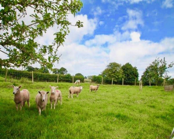 Farm holiday cottages devon