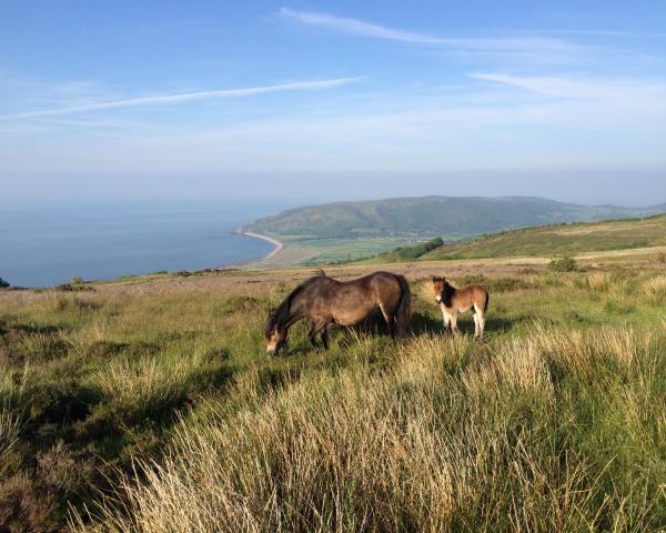 new self catering cottages exmoor, exmoor self catering deals, best price exmoor holiday cottages