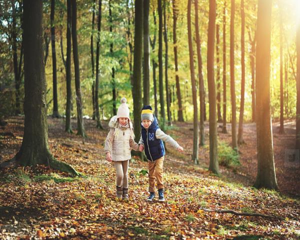Cottages for february half term, feb half term cottages, 