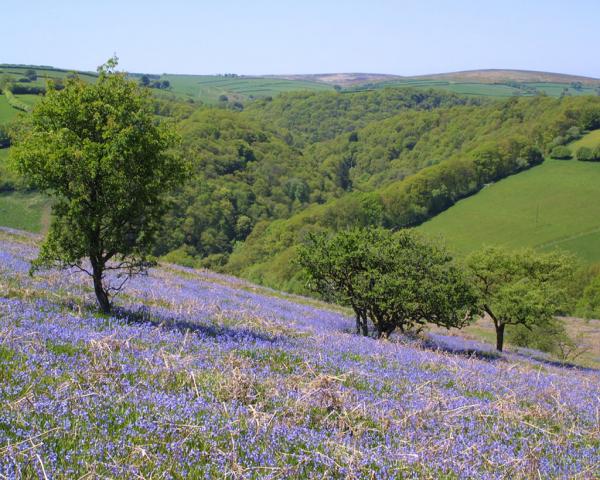 easter break devon, easter break somerset, holiday cottage for easter, easter 2023 cottage, holiday cottage for easter