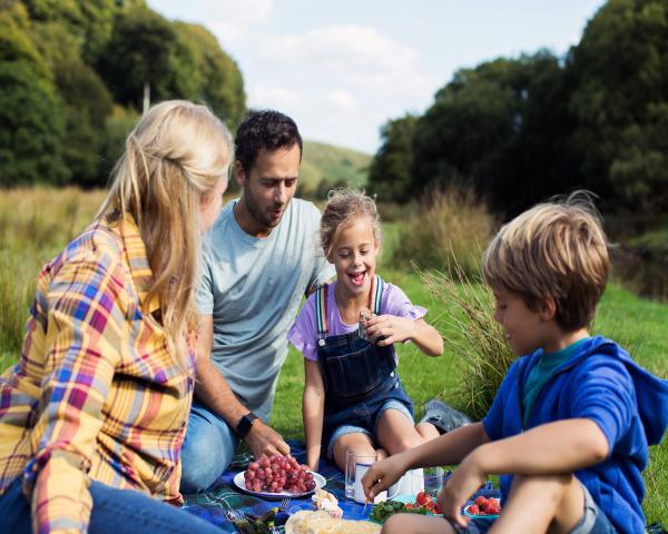 self catering accommodation July, somerset july accommodation, self catering breaks july, july places to stay, family july breaks