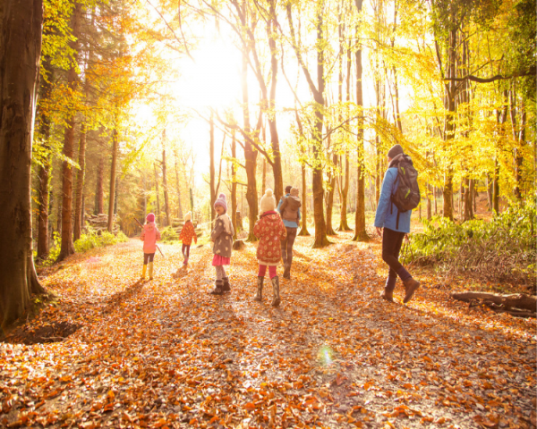 exmoor october half term cottages, cottages for october half term, october half term breaks