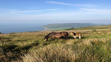 Stay in Exmoor