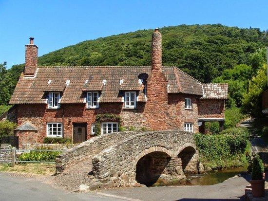 Allerford holiday cottages, kate and toms exmoor, Self Catering Holiday Cottages, anniversary accommodation exmoor, dog friendly sleeps 12, corporate gathering accommodation, 