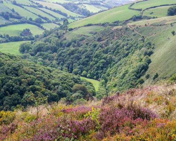 Exmoor holiday cottages, Cottages in Goodleigh, Luxurious boutique Cottages on Goodleigh, Holiday cottages in Goodleigh, Goodleigh Hideaway cottages, Self-catering cottagesin Devon, hotels in Goodleigh, B&B in Goodleigh