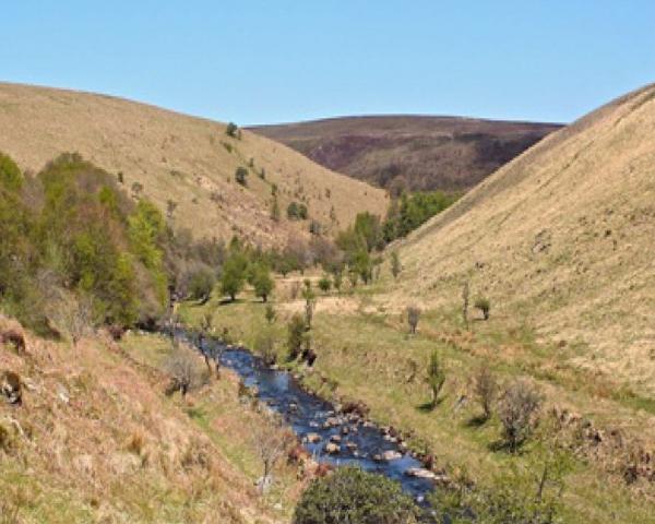 Exmoor Holiday Cottages, Self-catering cottages on Exmoor, Holiday cottages in the North Molton, Dog-friendly cottages in Exmoor, Kids friendly cottages, Holiday cottages in North Molton