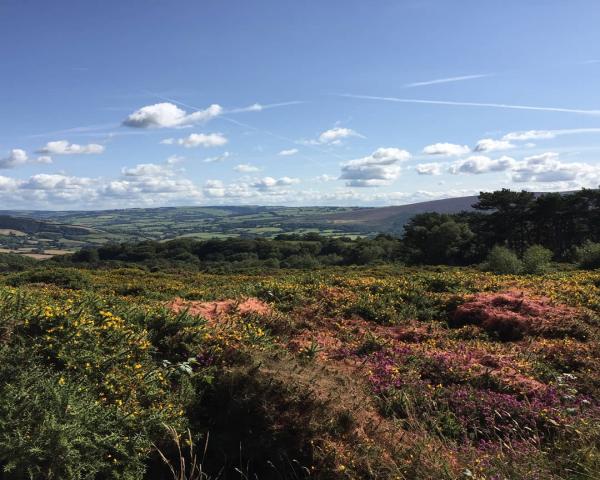 Exmoor holiday cottages, Cottages in Selworthy, Luxurious boutique Cottages on Selworthy, Holiday cottages in Selworthy, Selworthy, Hideaway cottages, Self-catering cottages in Selworthy, hotels in Selworthy, B&B in Selworthy, places to stay in Selworthy, Accommodation in selworthy