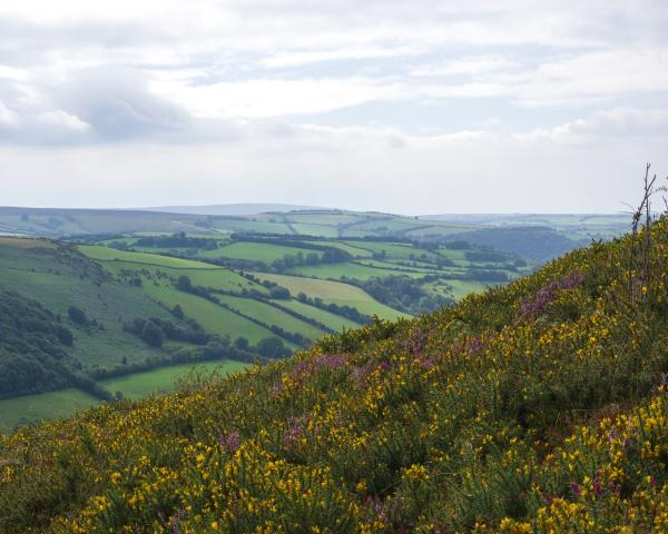 Explore our collection of self-catering holiday cottages in and around West Down, in Devon. Accommodation for couples, groups or gatherings across Exmoor. Luxury properties, dog-friendly cottages, short breaks, flexible arrival days.