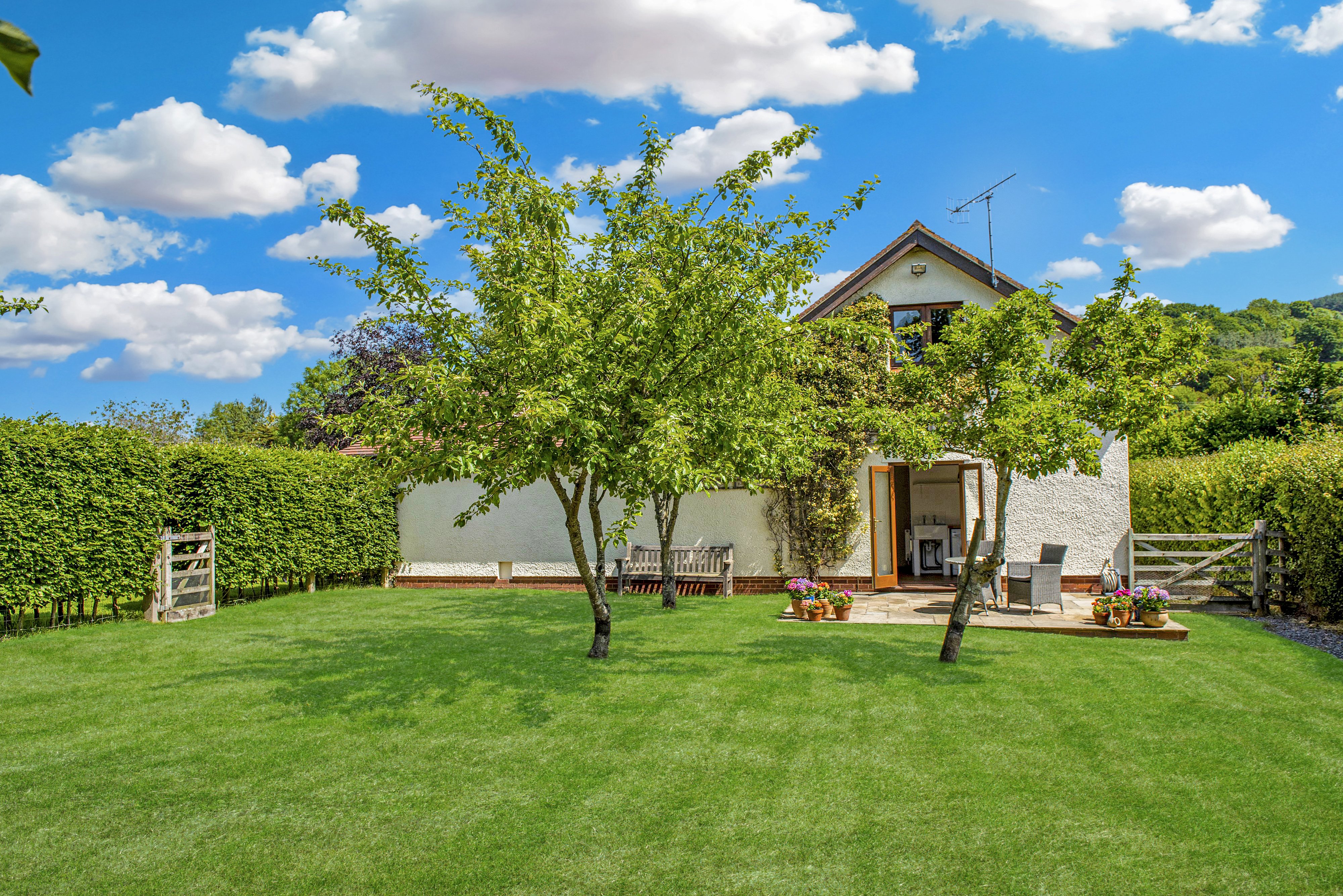 Dunkery View, Wootton Courtenay - cottage overlooking Dunkery Beacon for deer and birds