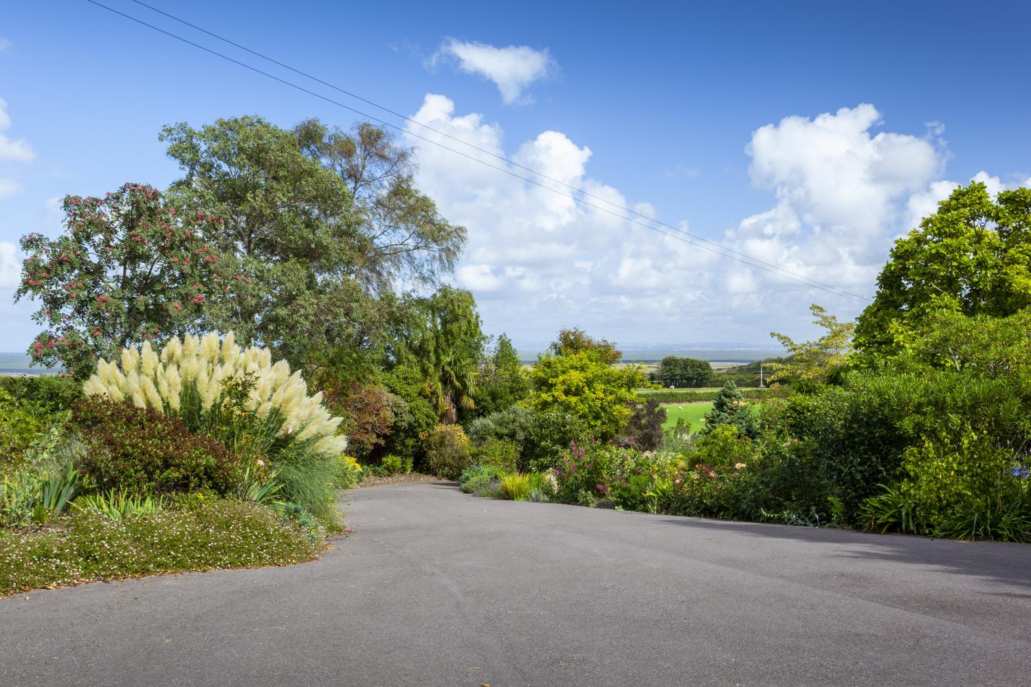 drive leading down from the cottage