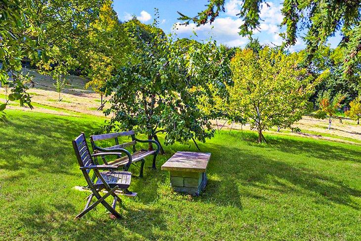 picnic area in the orchard