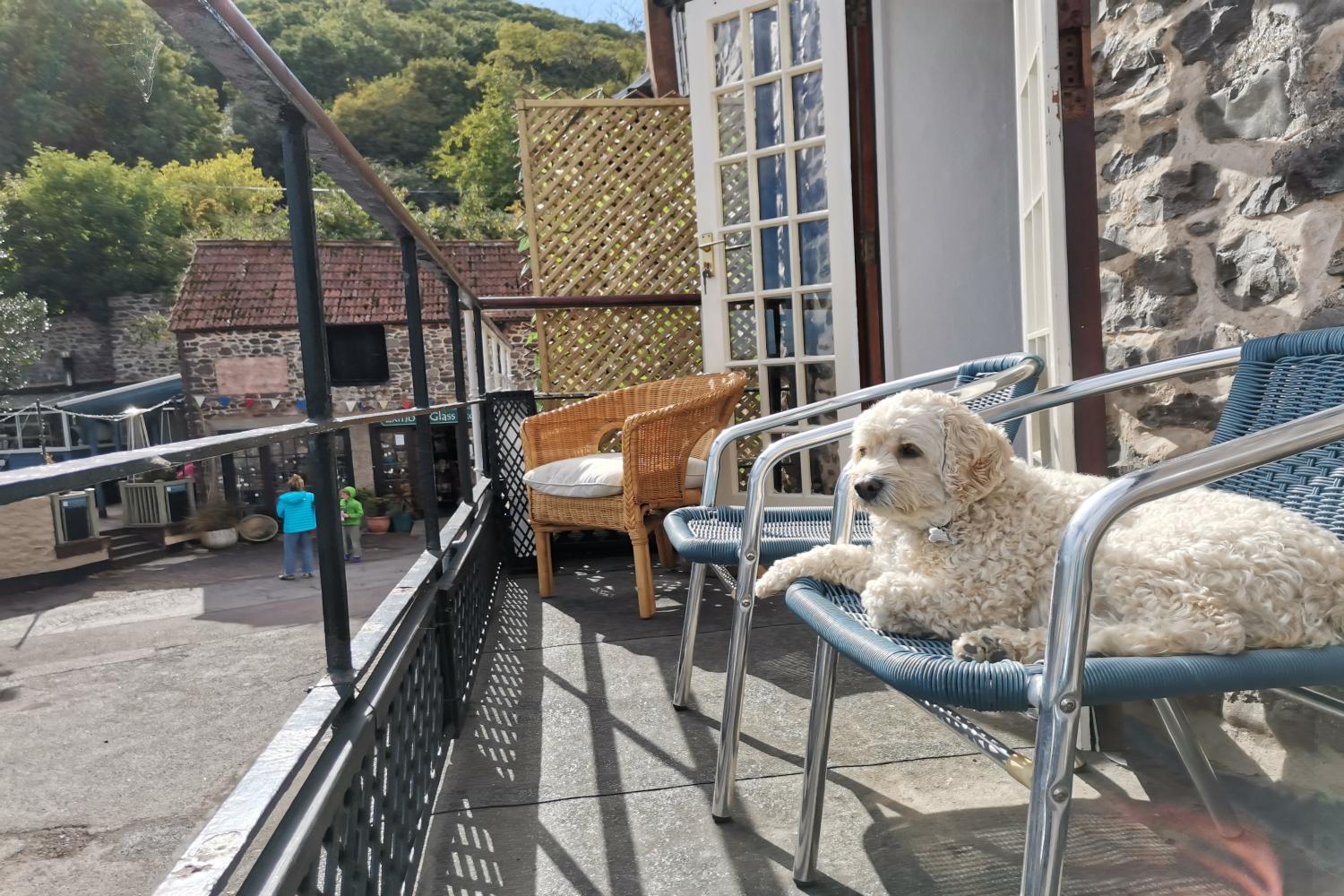 Dog friendly self catering holidays Harbour House Apartment Porlock Weir UK