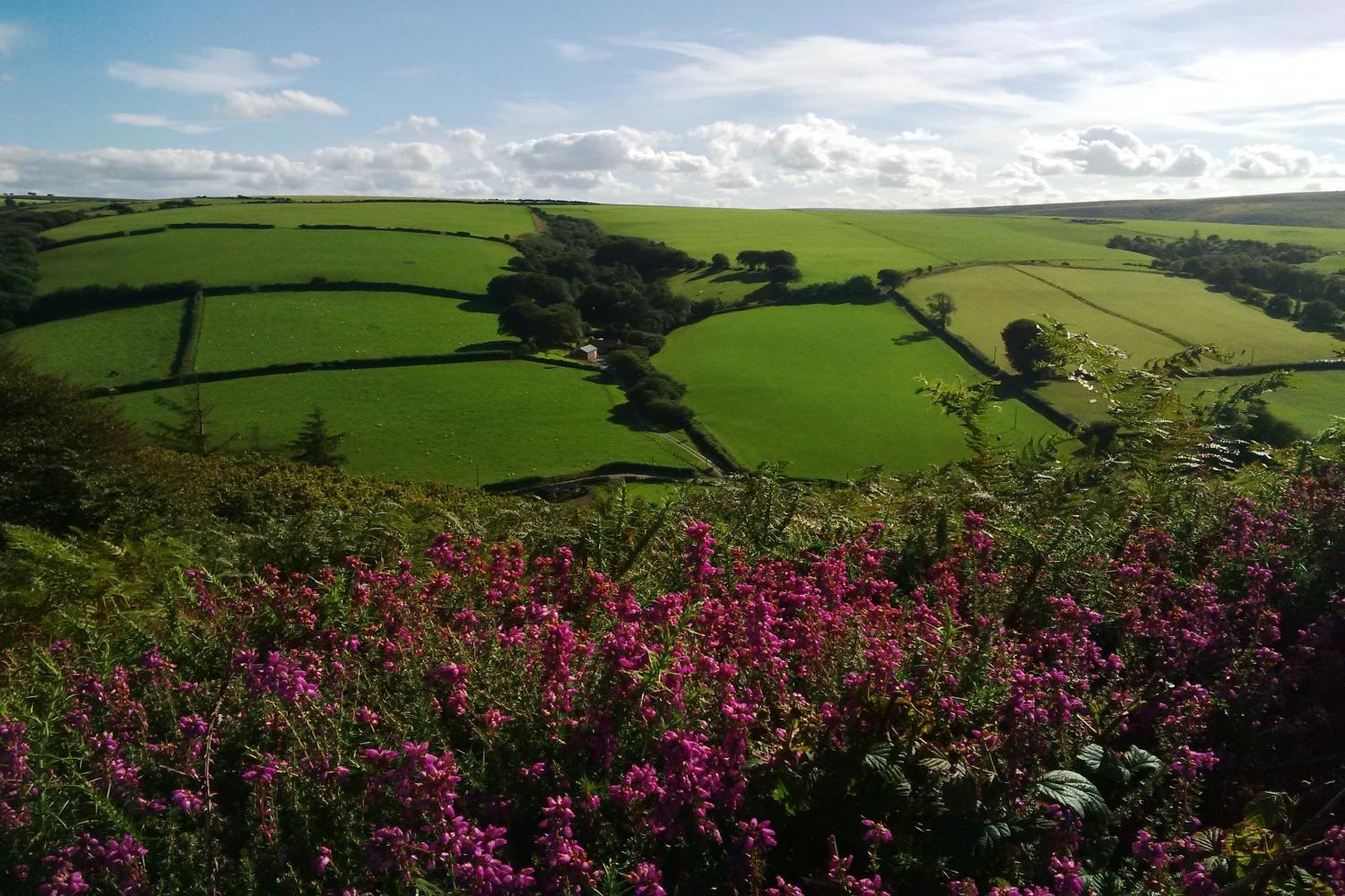 Looking across the valley to The Hayloft