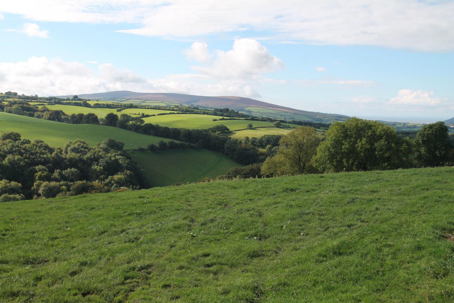 Nearby views of Dunkery