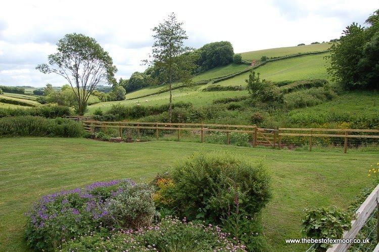 Mill Cottage enclosed garden