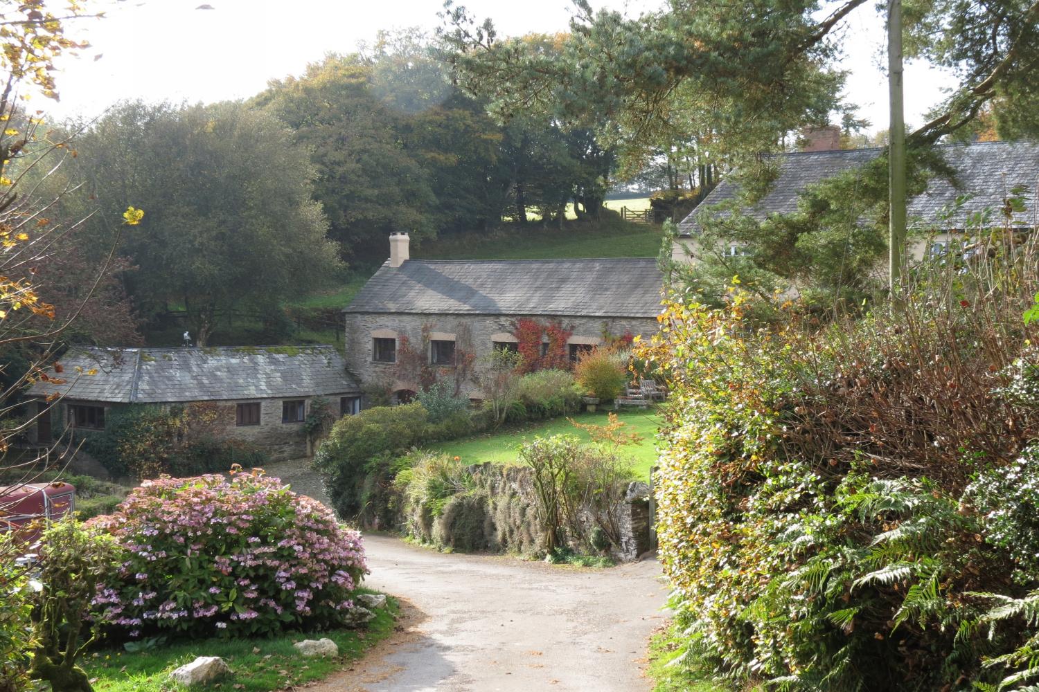 Looking towards the cottages from drive