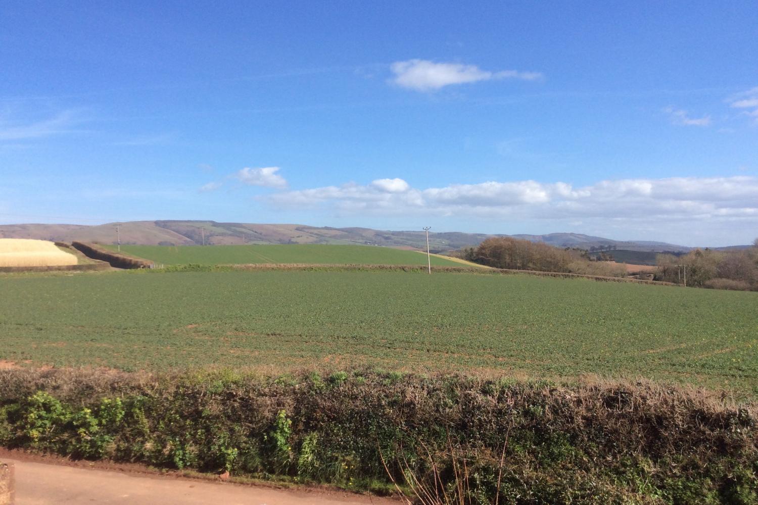 View from the cottage window towards the Quantocks