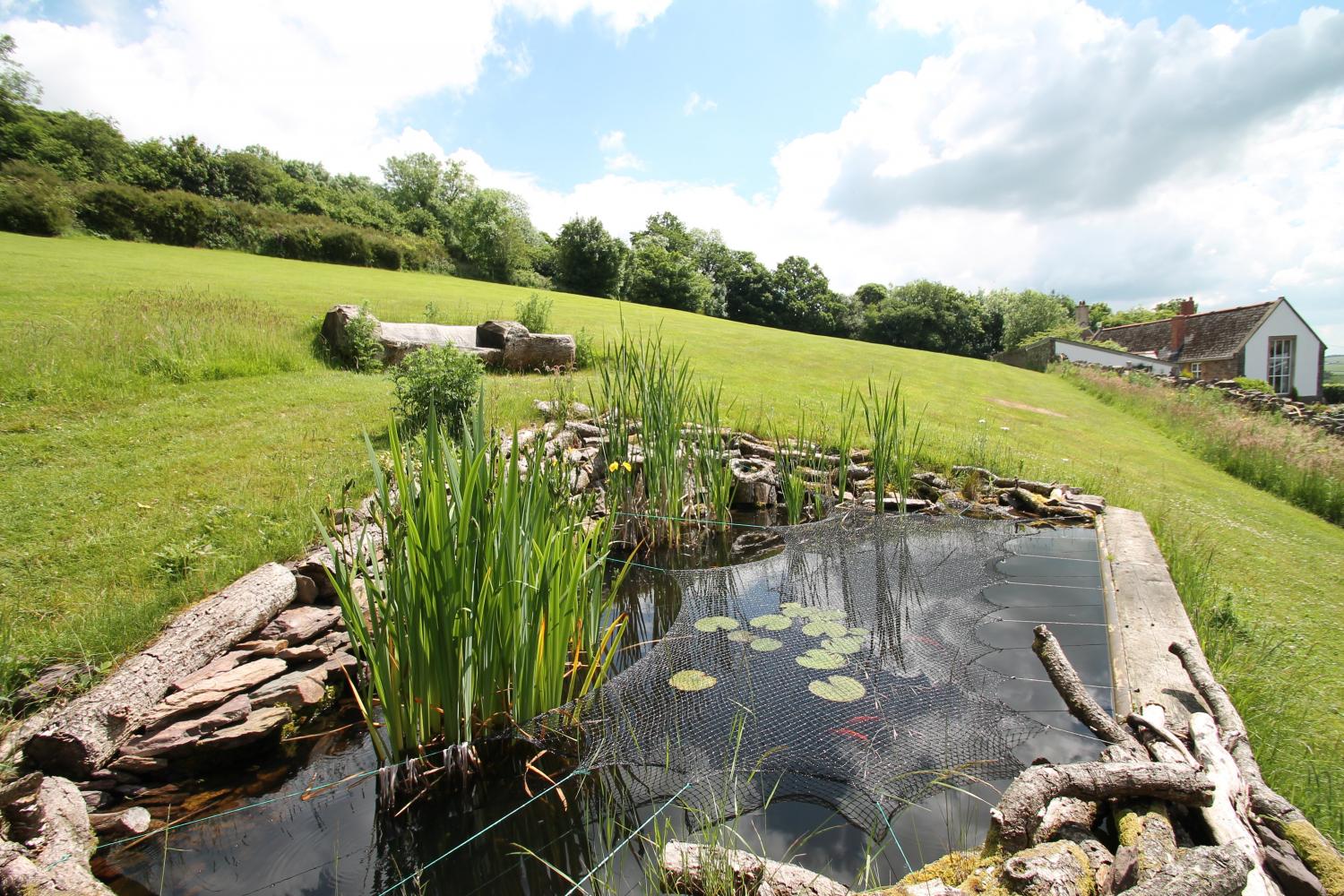 Shared garden with pond and seating