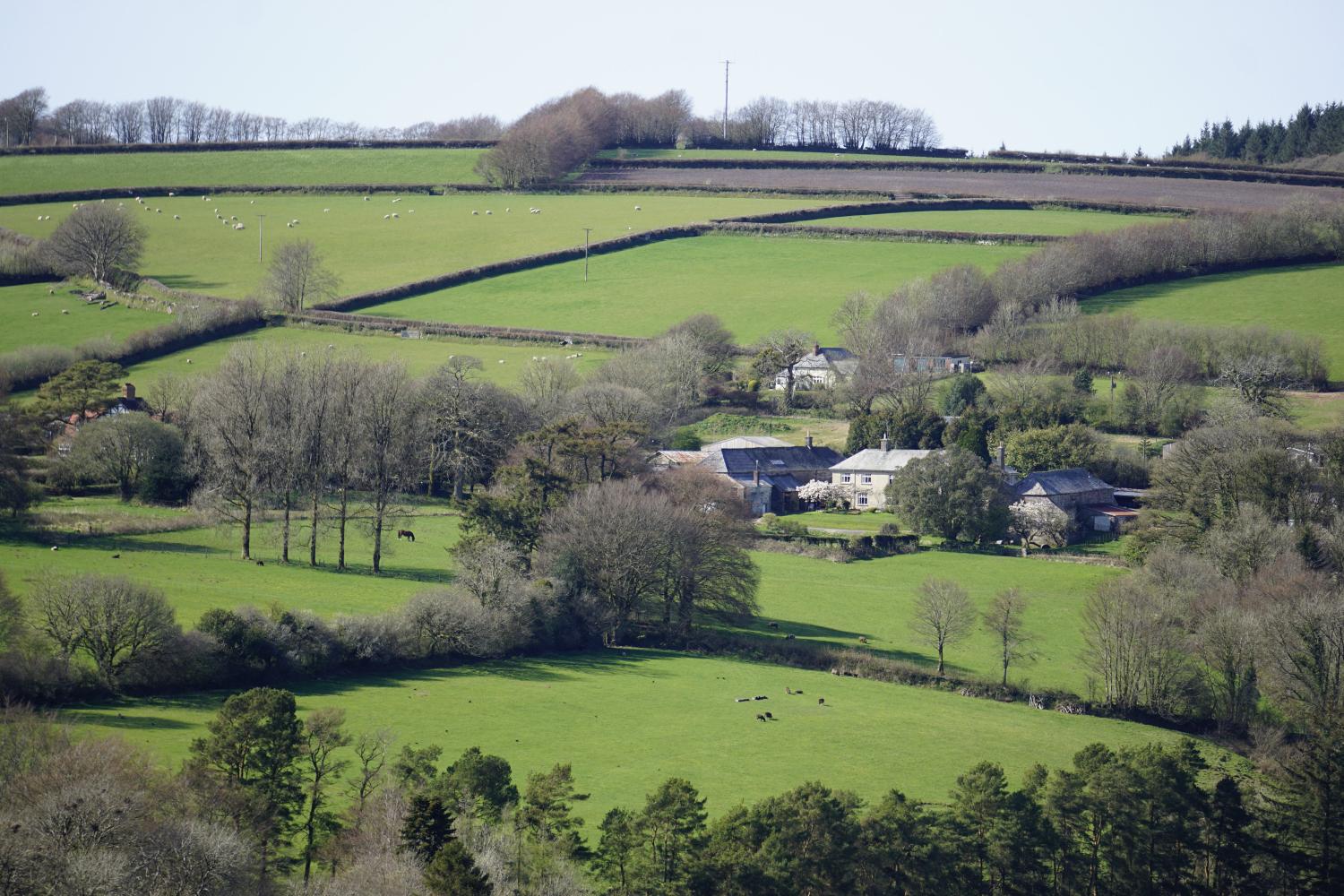 Little Bray House from across the valley