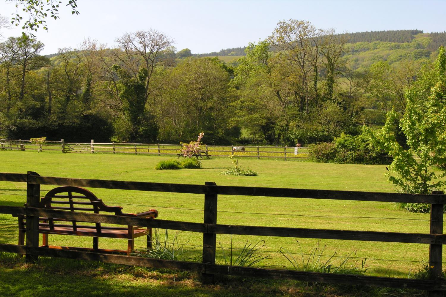 View Across Our Fields