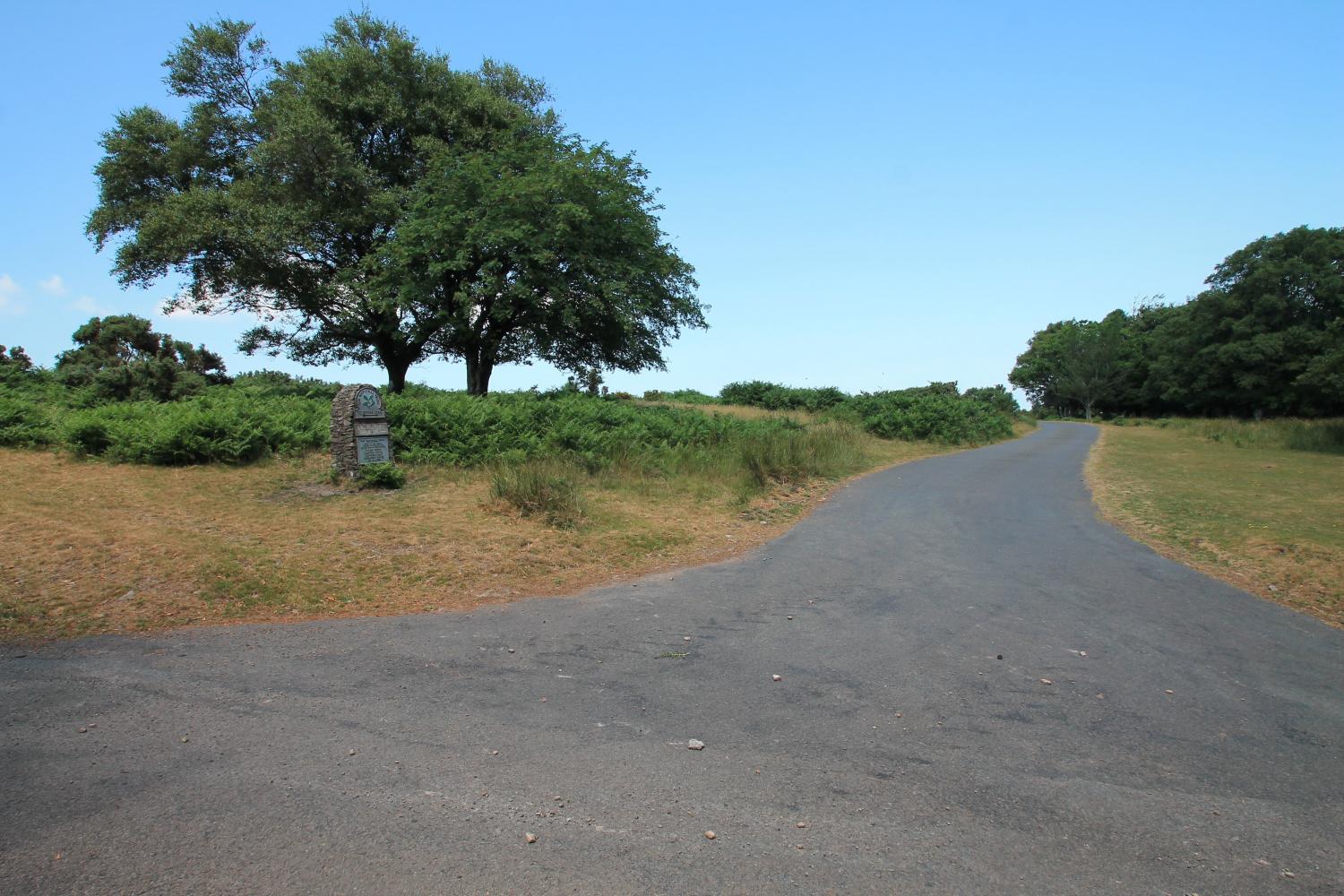 Access road to the property