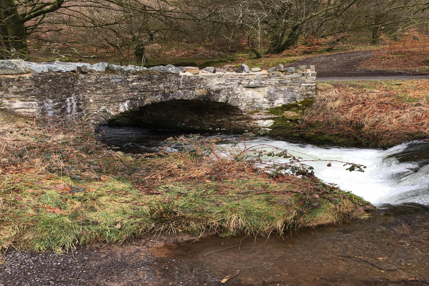 Local walk robbers bridge