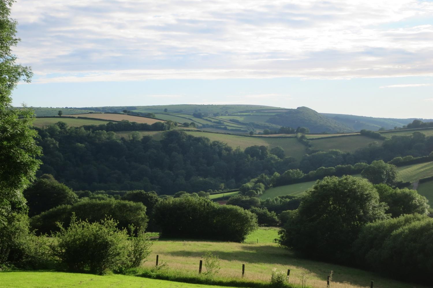 View from the garden