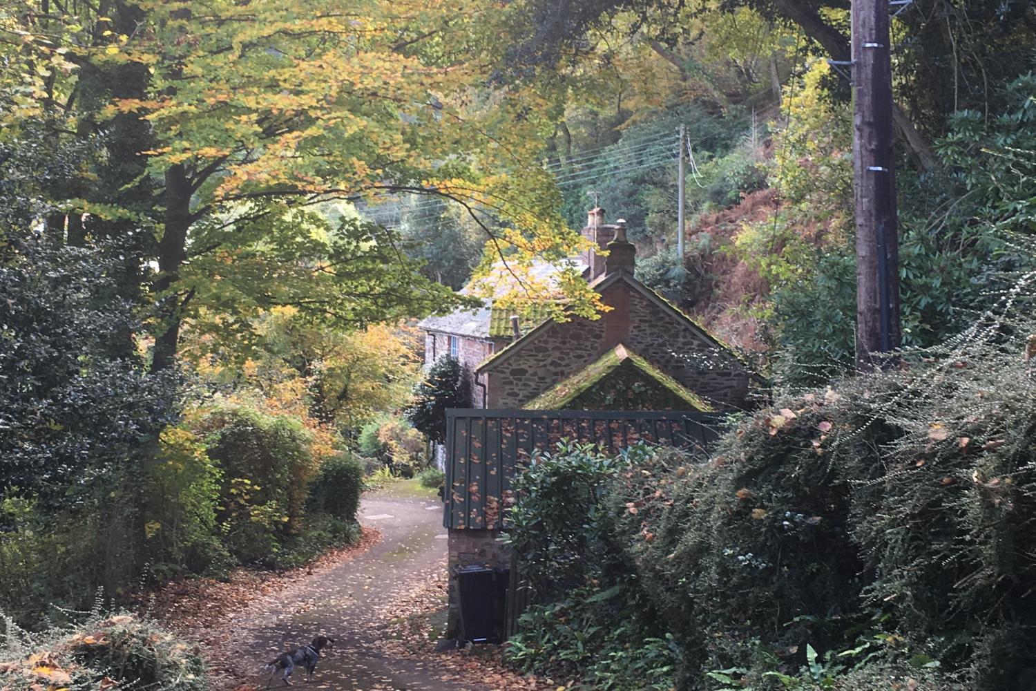 Approaching the cottage from up the lane.