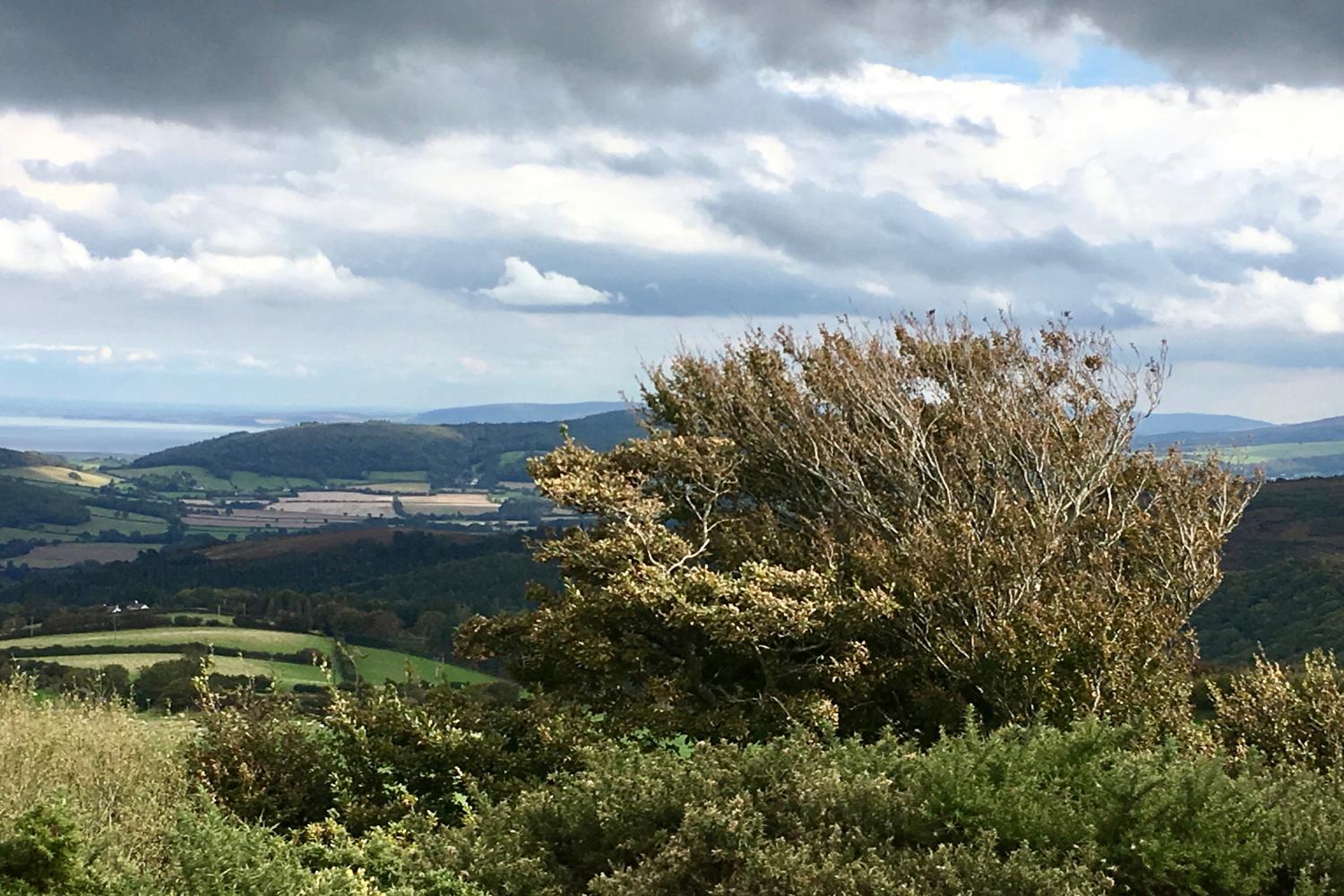 Exmoor views.