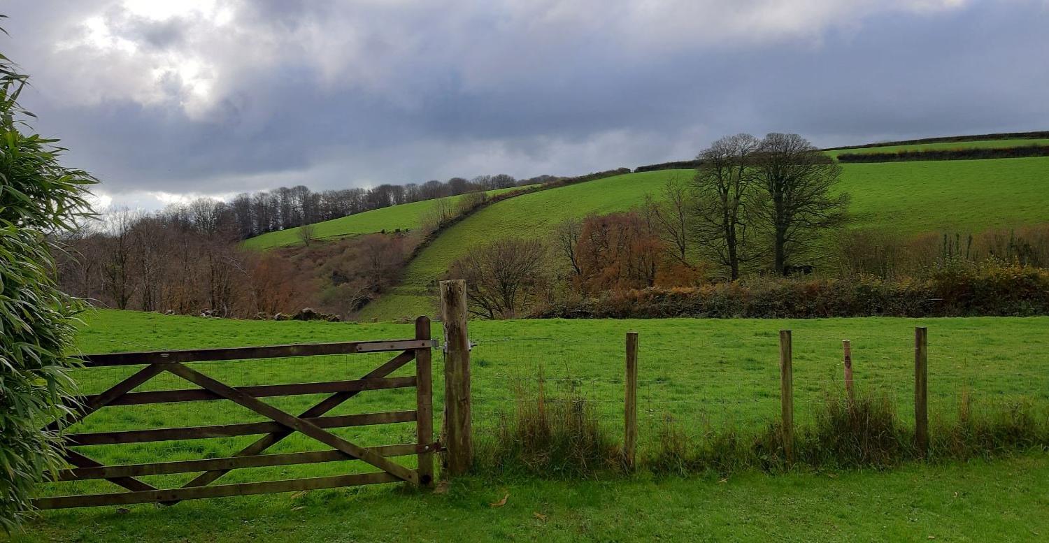 Brook Cottage garden gate