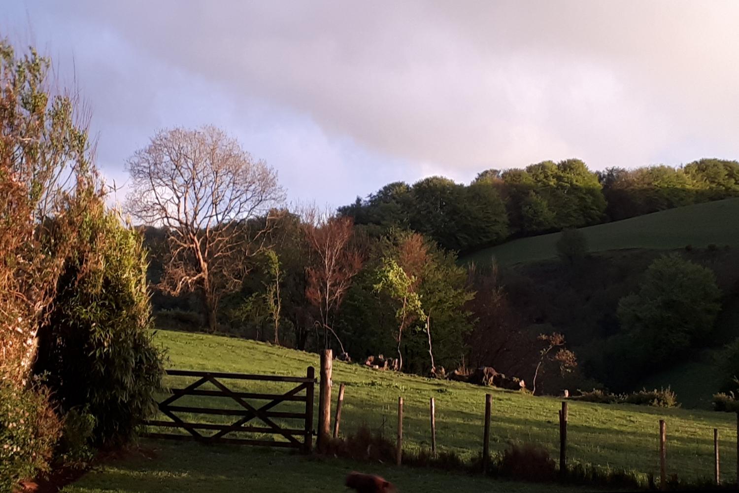 Late afternoon at the gate