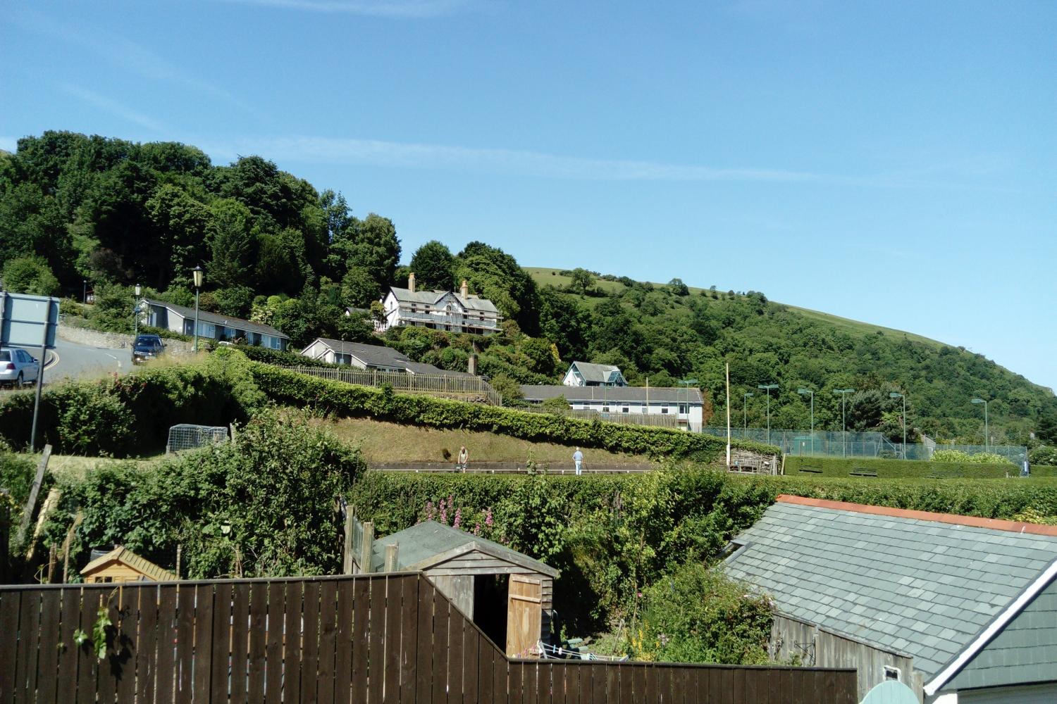 View from the rear window of Pip's Corner