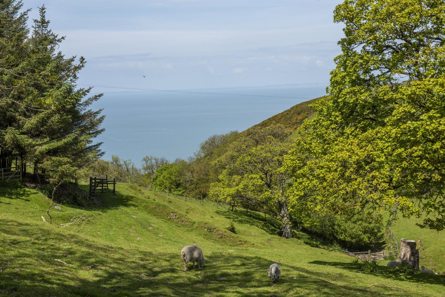 View over the fields to the coast