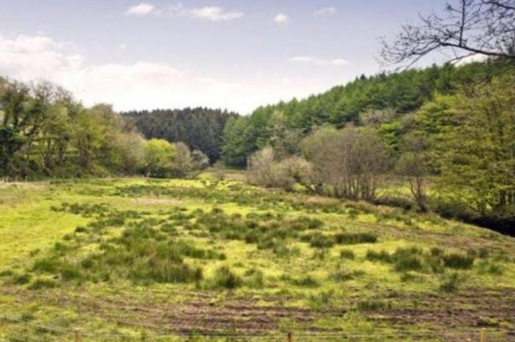 View over fields from the garden