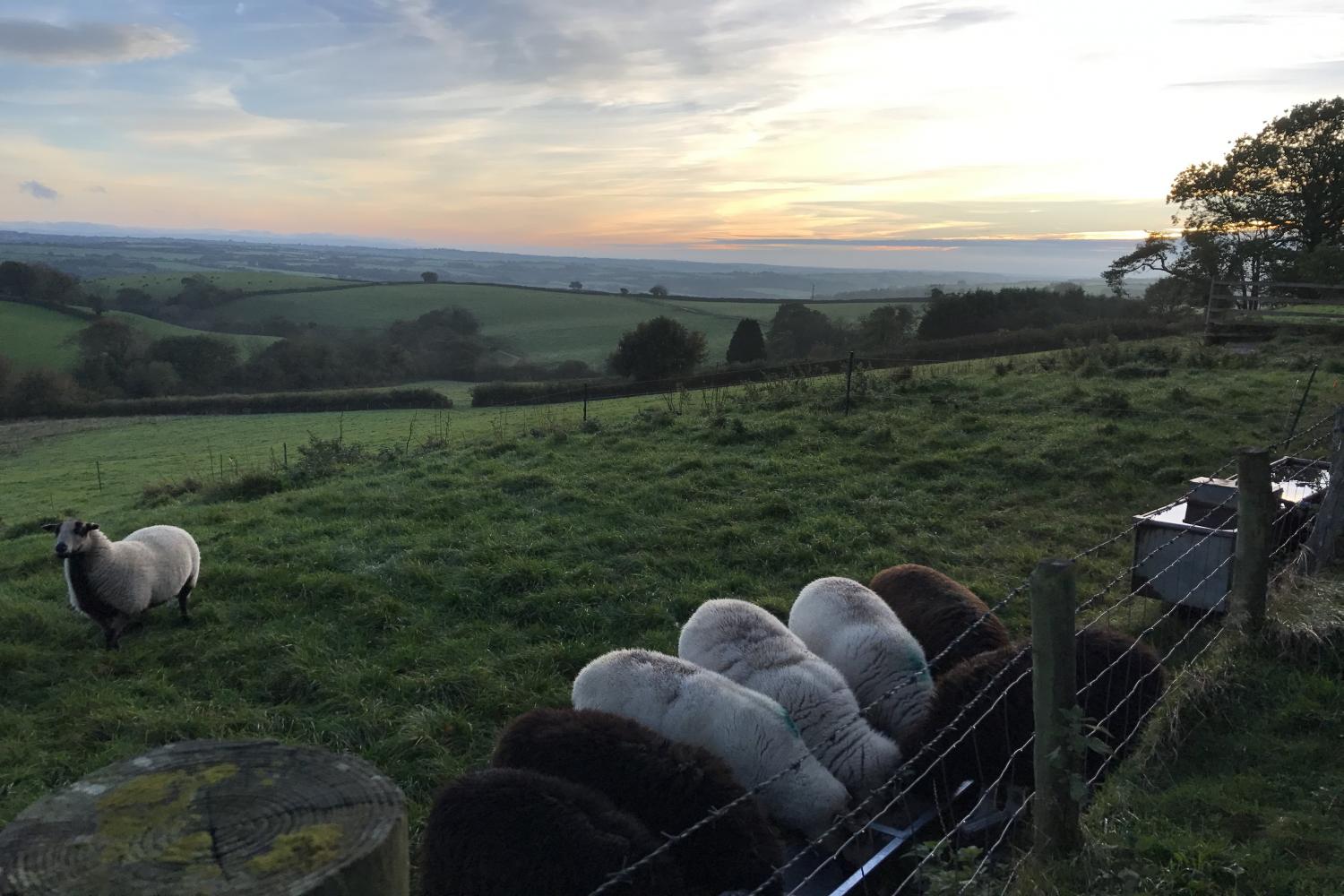 The Roundhouse, West Anstey Holiday Cottages in Near Dulverton T..