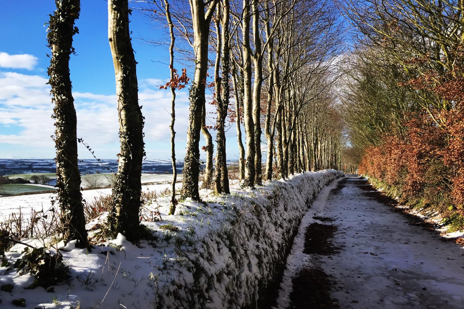 The Roundhouse, West Anstey Holiday Cottages in Near Dulverton T..