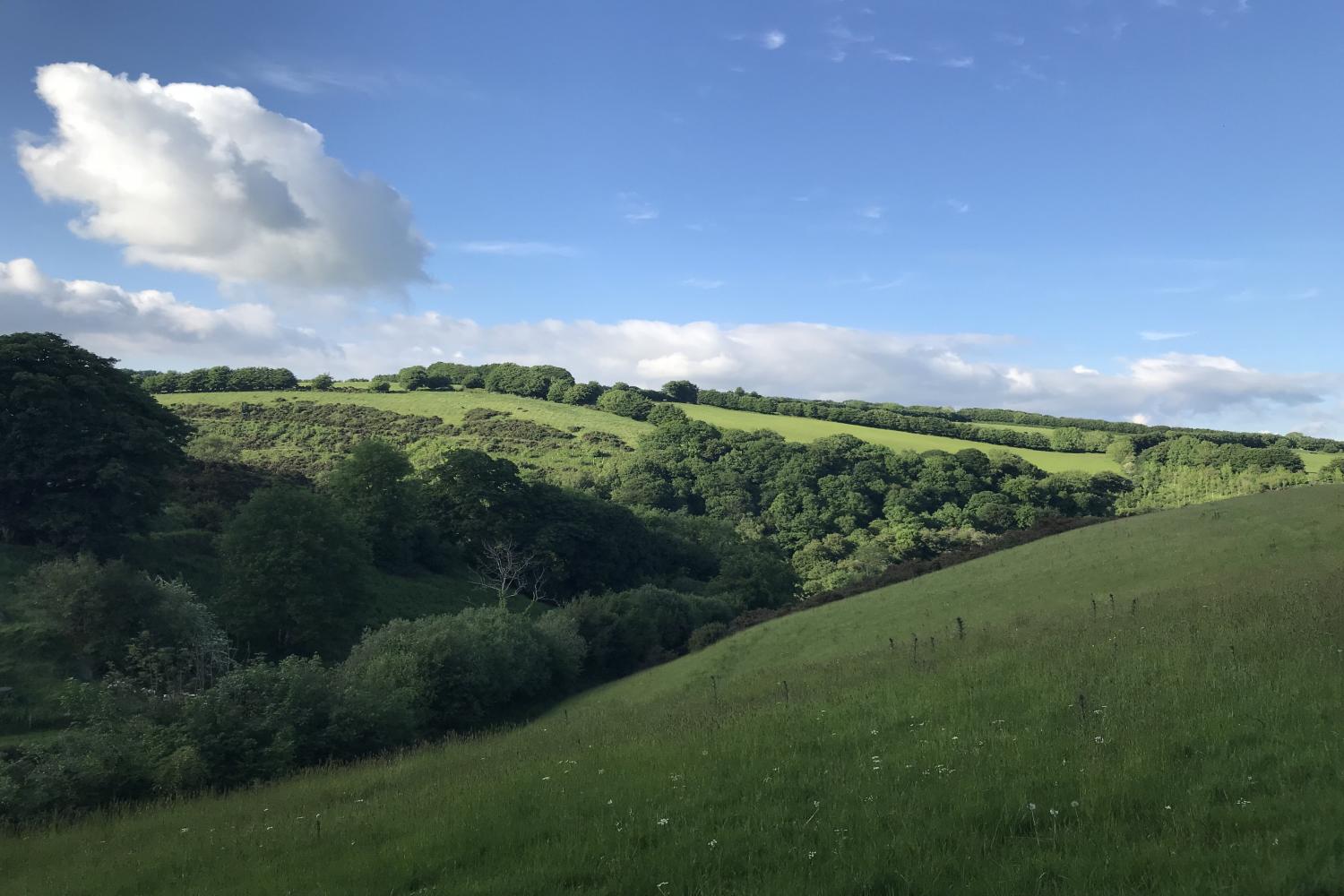 The Cowshed surrounding area of natural beauty