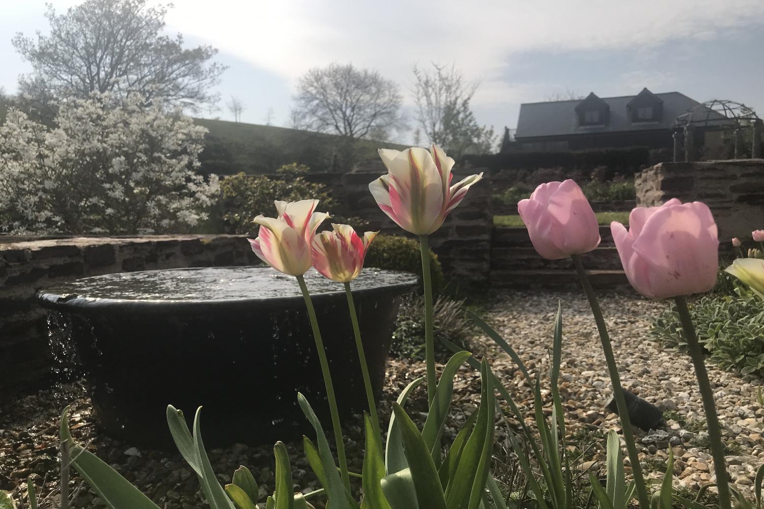 Beautiful  Tranquil gardens at Stolford Farm