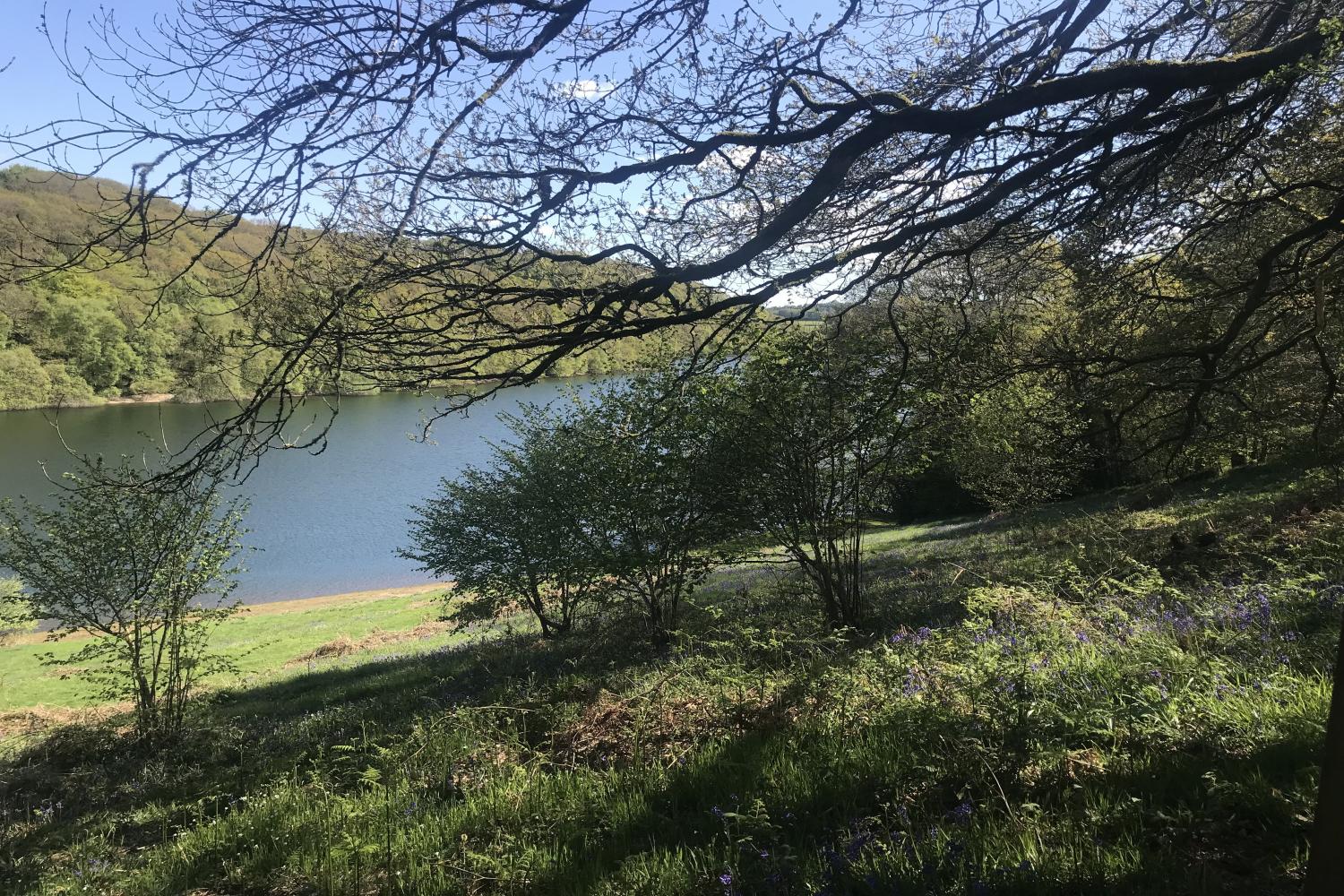 Accommodation near Clatworthy Reservoir for walks and fishing