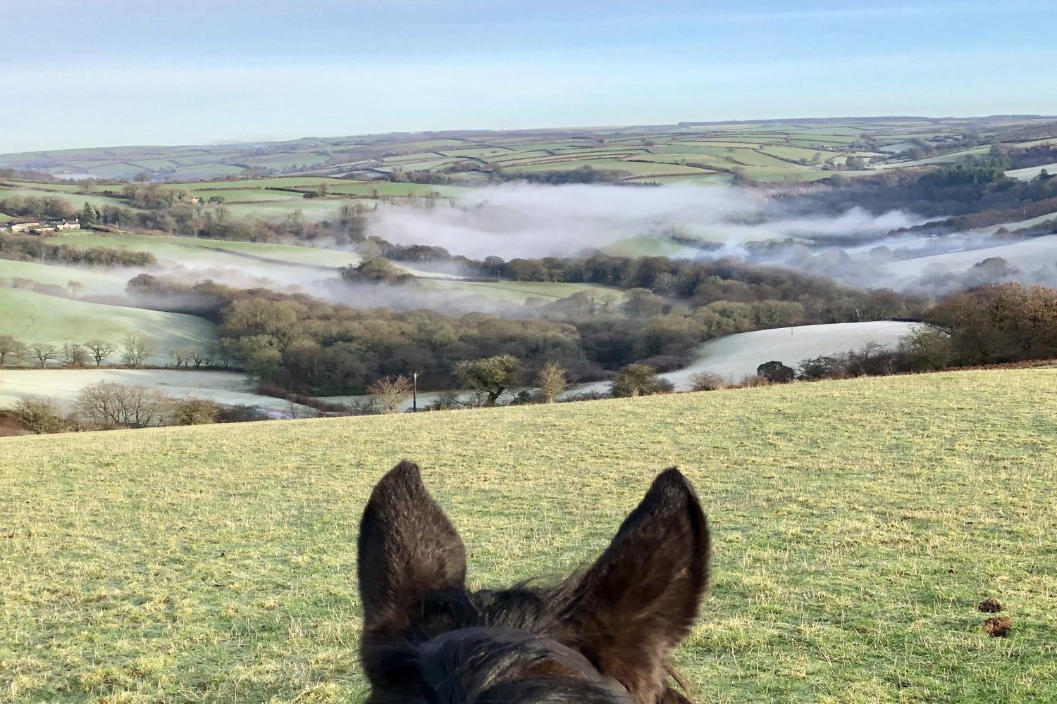 Amazing views surround the farm