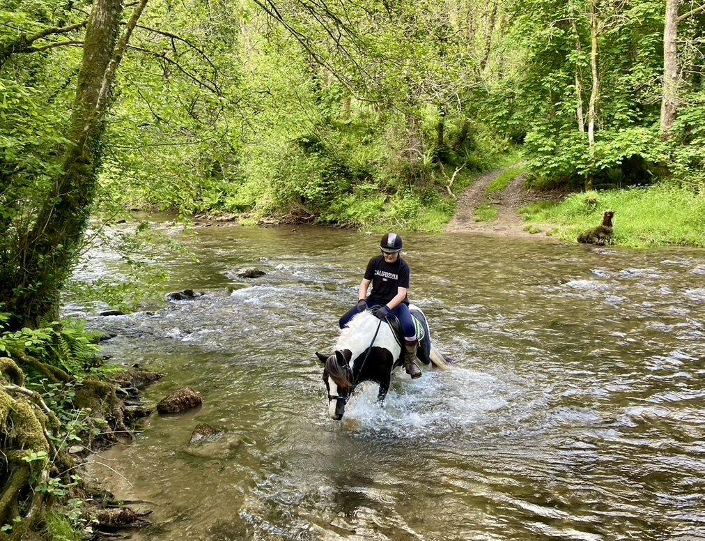 Crossing the River Exe below Stockham Farm