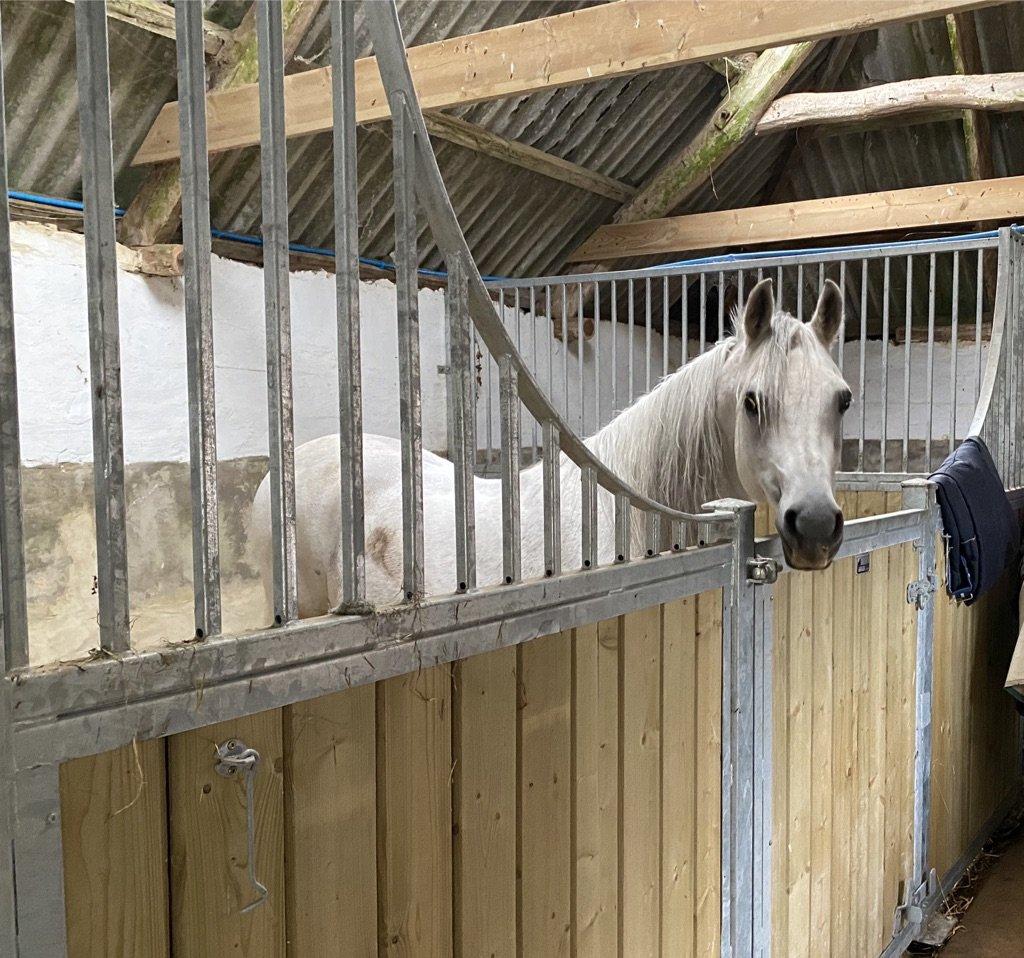 Luxury horse accommodation at Stockham