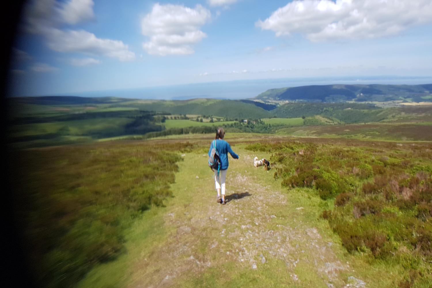 Dunkery Beacon