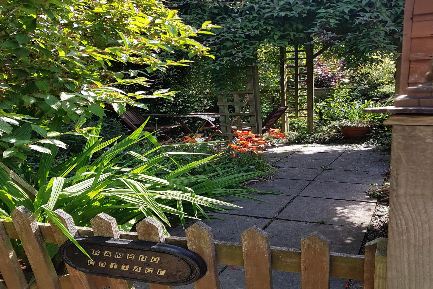 Our courtyard garden