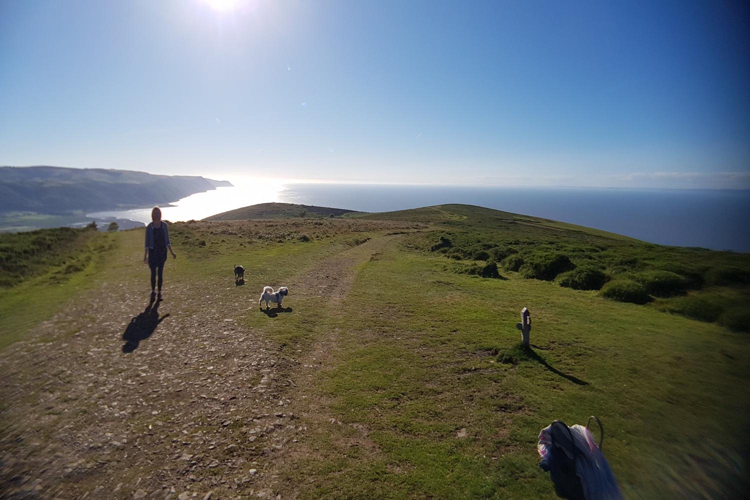 Bossington Hill overlooking Porlock Weir