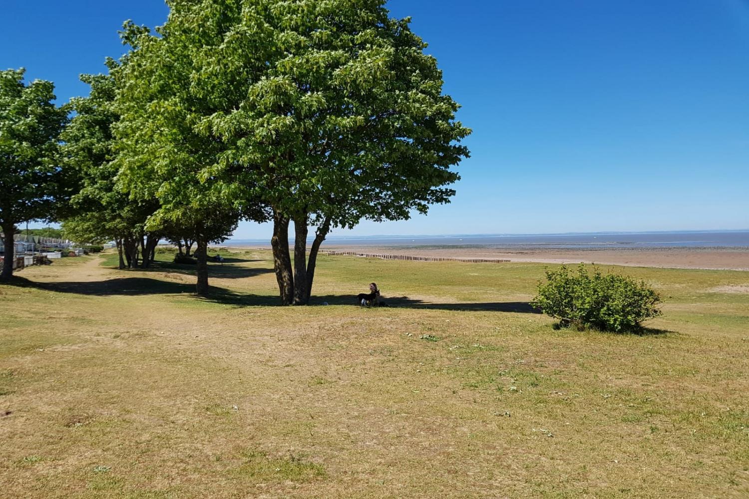 Dunster Beach (dog friendly)