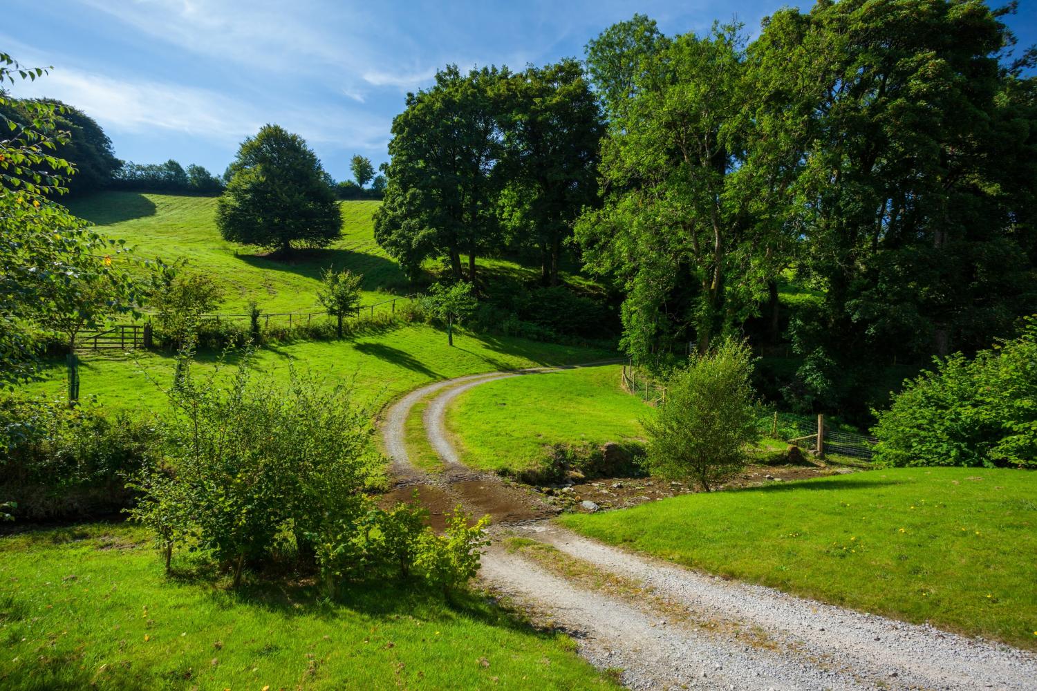 Approach to the cottage