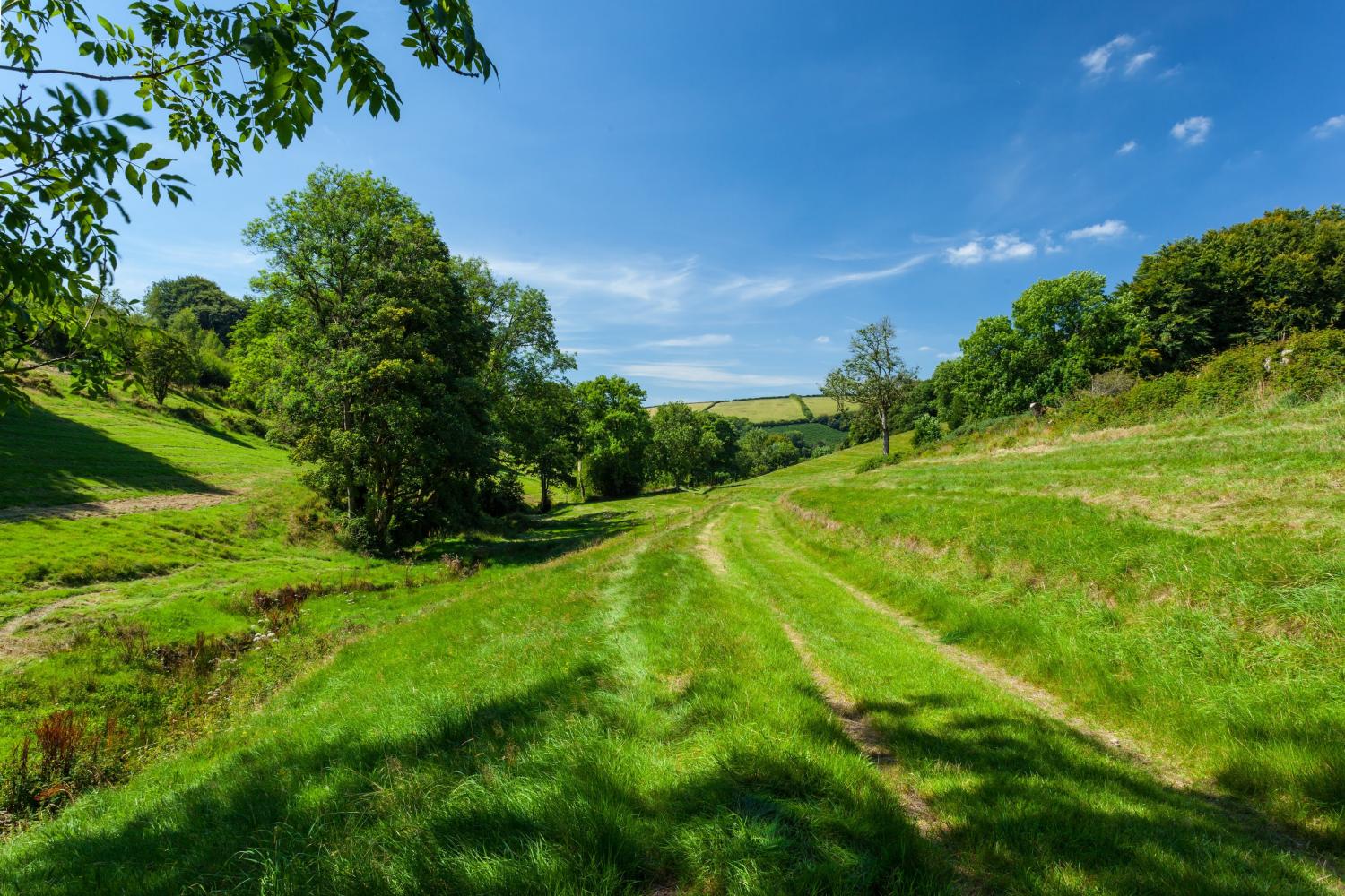 Surrounding countryside