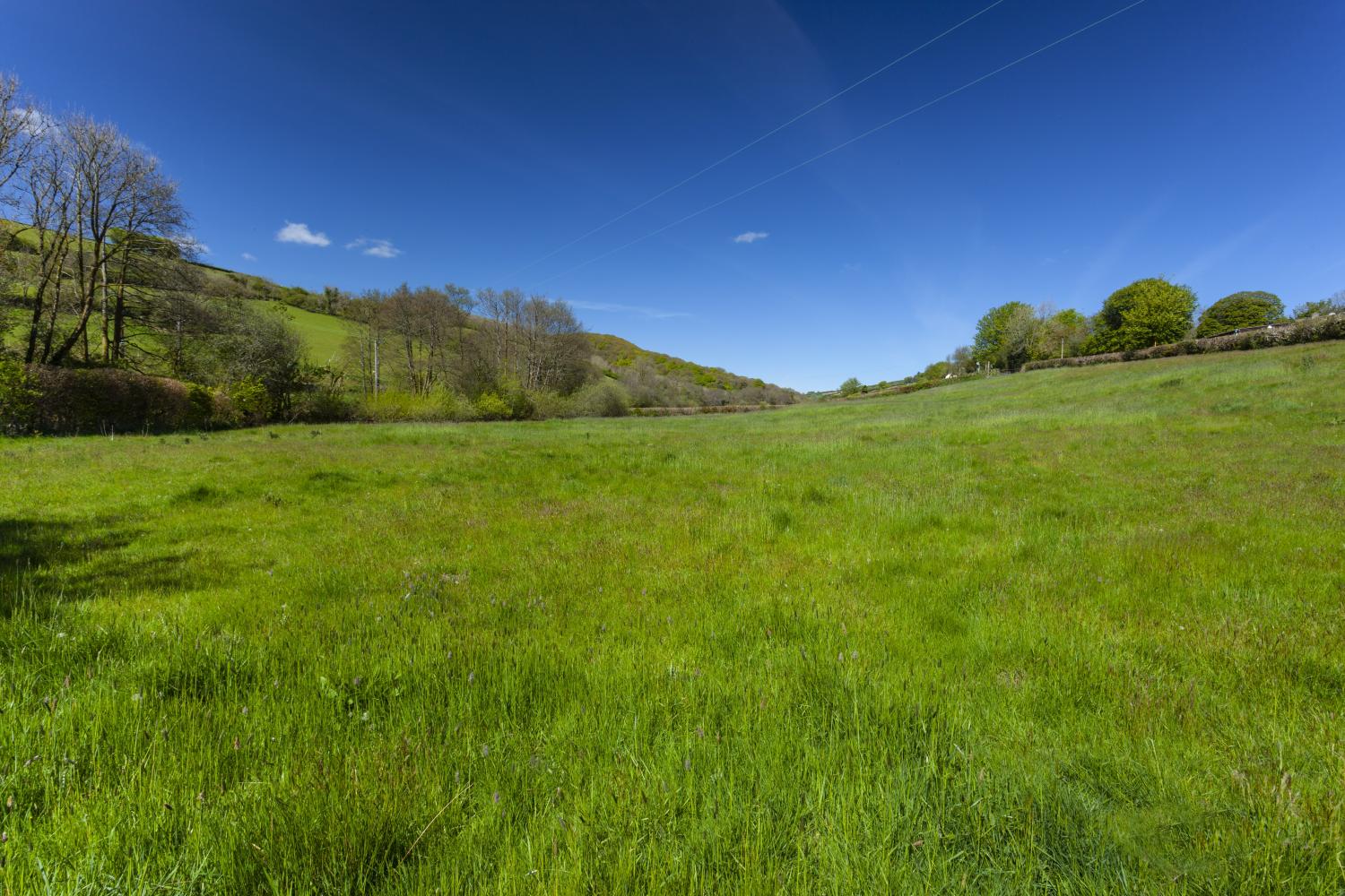 View down the valley from private sitting area Dowry Cottage Winsford